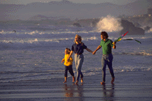 a picture of family walking along the beach